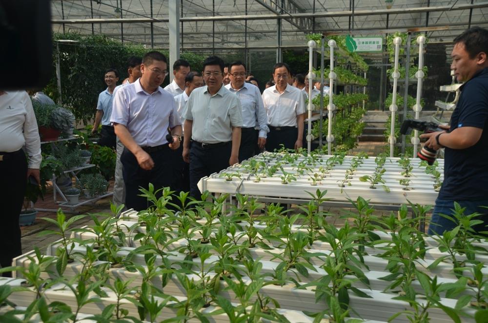 科技助農(nóng)，播撒光的種子  精準扶貧，助力鄉(xiāng)村振興