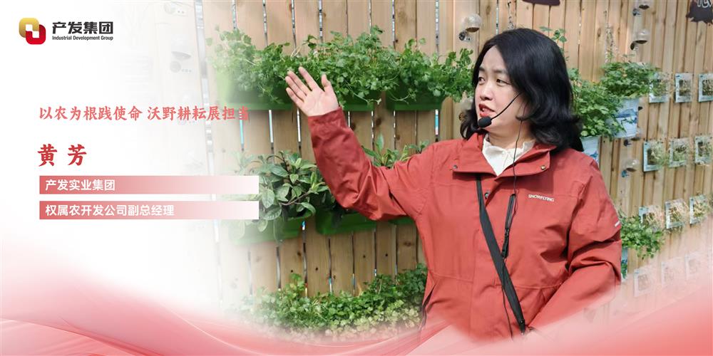 巾幗綻芳華 | 產(chǎn)發(fā)實業(yè)集團權(quán)屬農(nóng)開發(fā)公司 黃芳：以農(nóng)為根踐使命，沃野耕耘展擔當